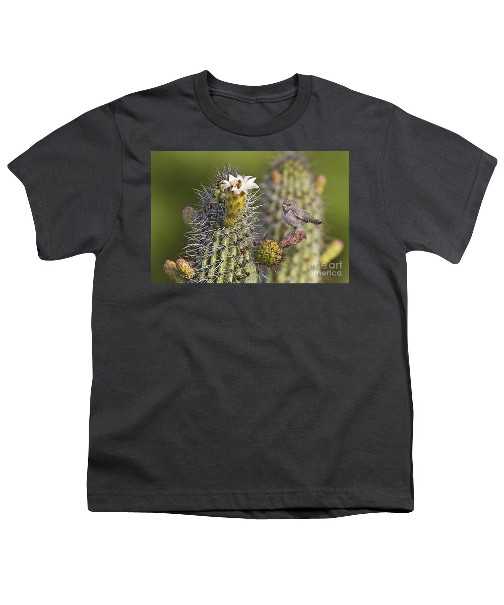 Verdin Youth T-Shirt featuring the photograph Baby verdin on cactus by Bryan Keil