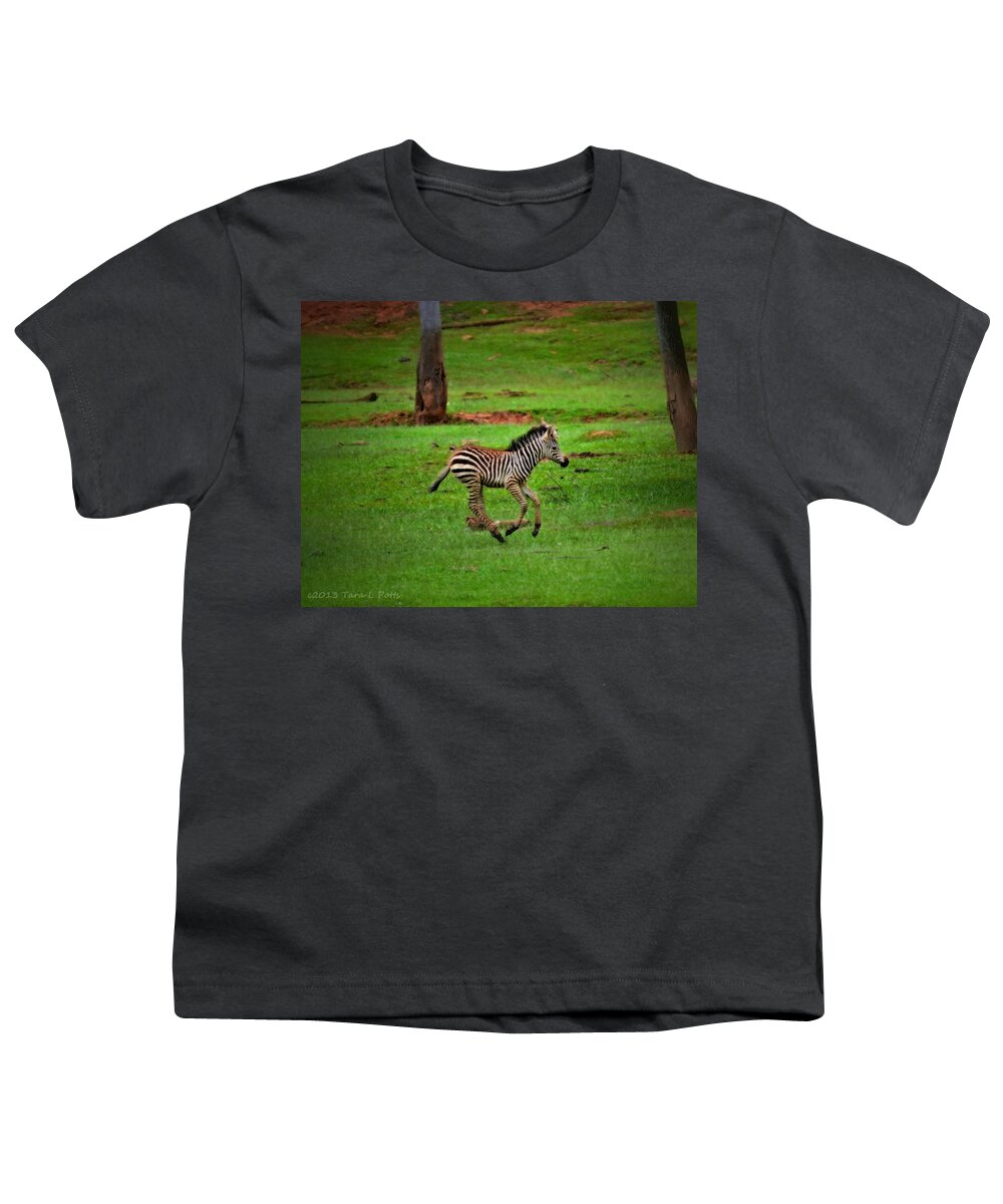 Zebra Youth T-Shirt featuring the photograph Baby Zebra Running by Tara Potts