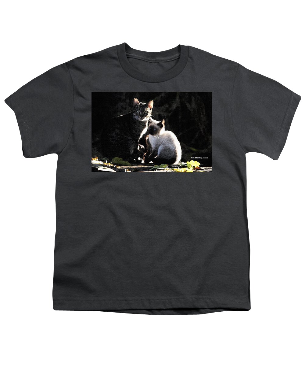 Back Yard Wild Cats Youth T-Shirt featuring the photograph Back Yard Wild Cats by Tom Janca
