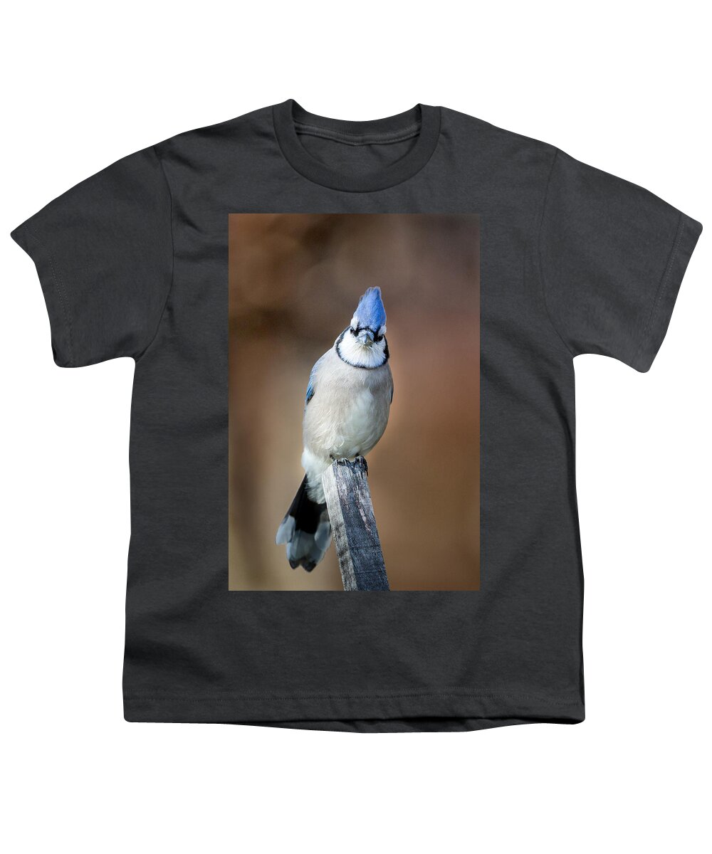 Backyard Bird Youth T-Shirt featuring the photograph Backyard Birds Blue Jay by Bill Wakeley