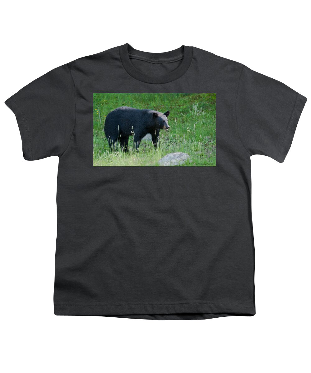 Bear Youth T-Shirt featuring the photograph Black Bear Female by Brenda Jacobs