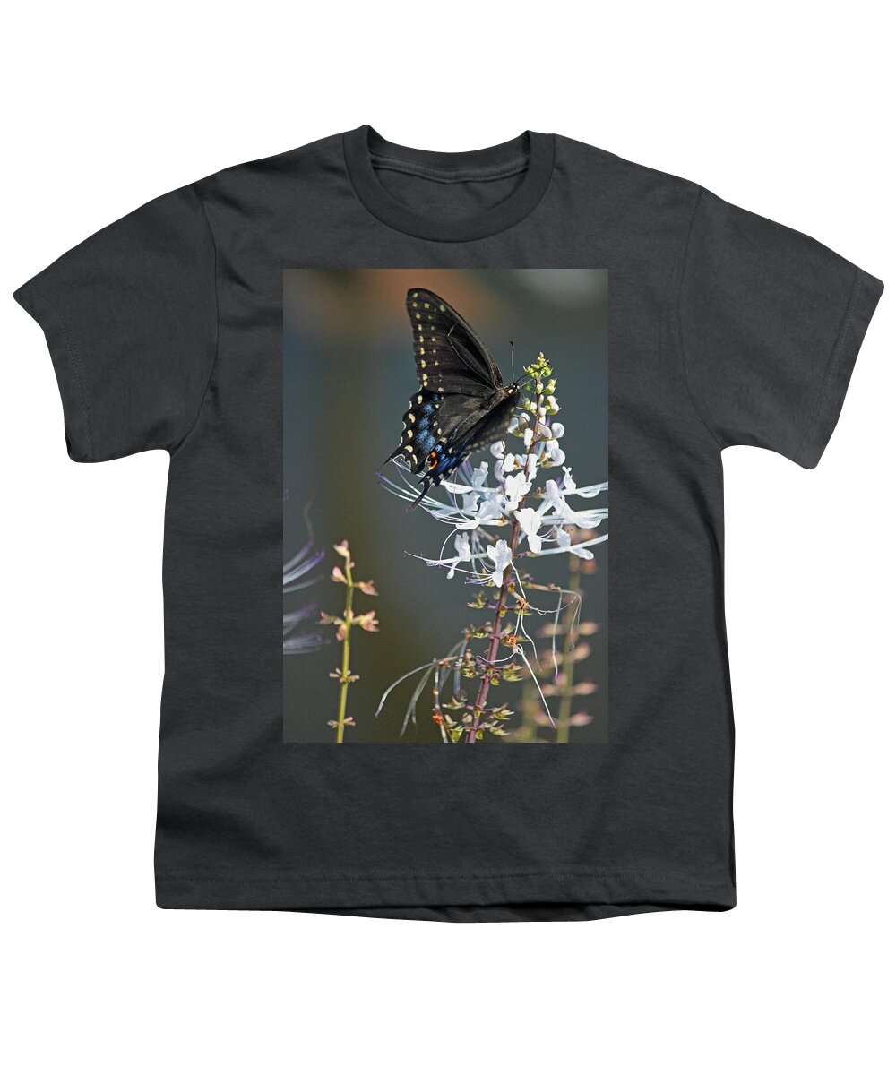 Butterfly Youth T-Shirt featuring the photograph Black Swallowtail Among the Cats Whiskers by Suzanne Gaff