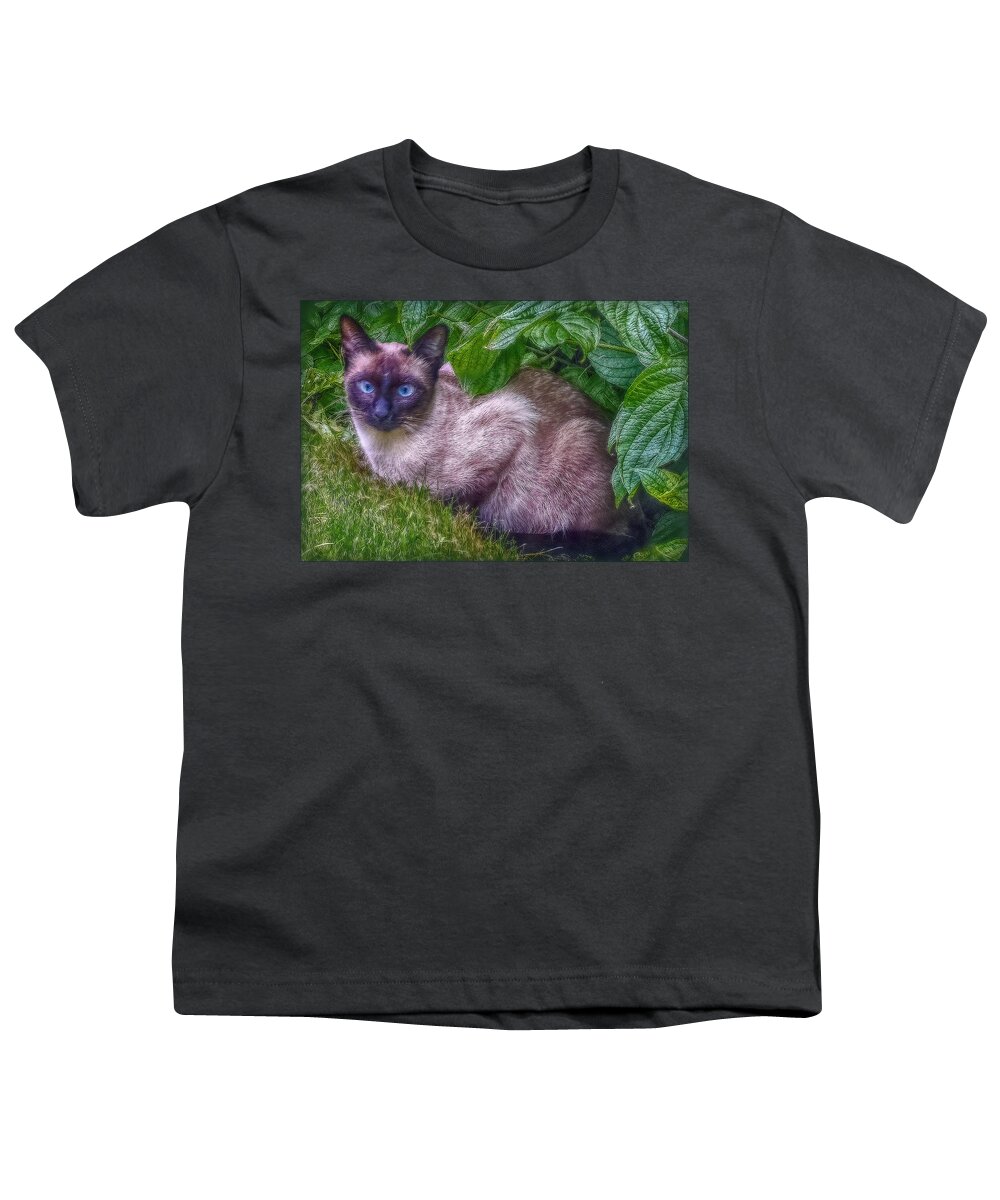 Cat Youth T-Shirt featuring the photograph Blue Eyes by Hanny Heim