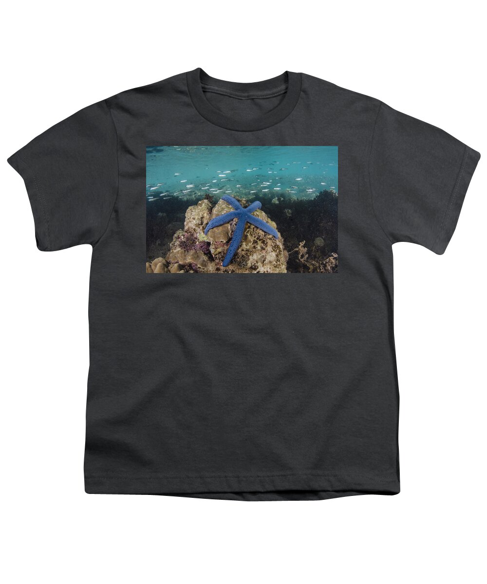 Pete Oxford Youth T-Shirt featuring the photograph Blue Sea Star On Coral Reef Fiji by Pete Oxford
