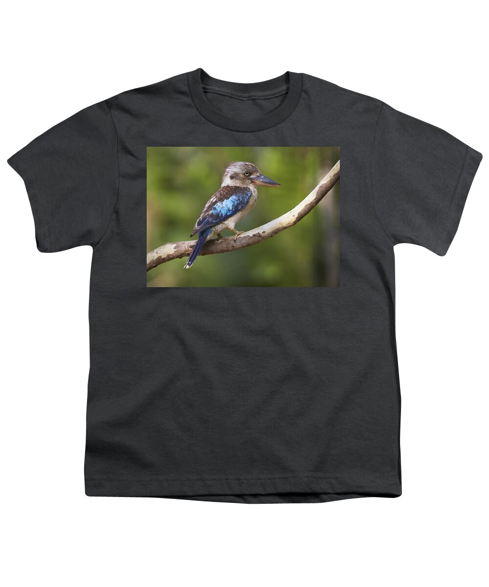 Martin Willis Youth T-Shirt featuring the photograph Blue-winged Kookaburra Queensland by Martin Willis