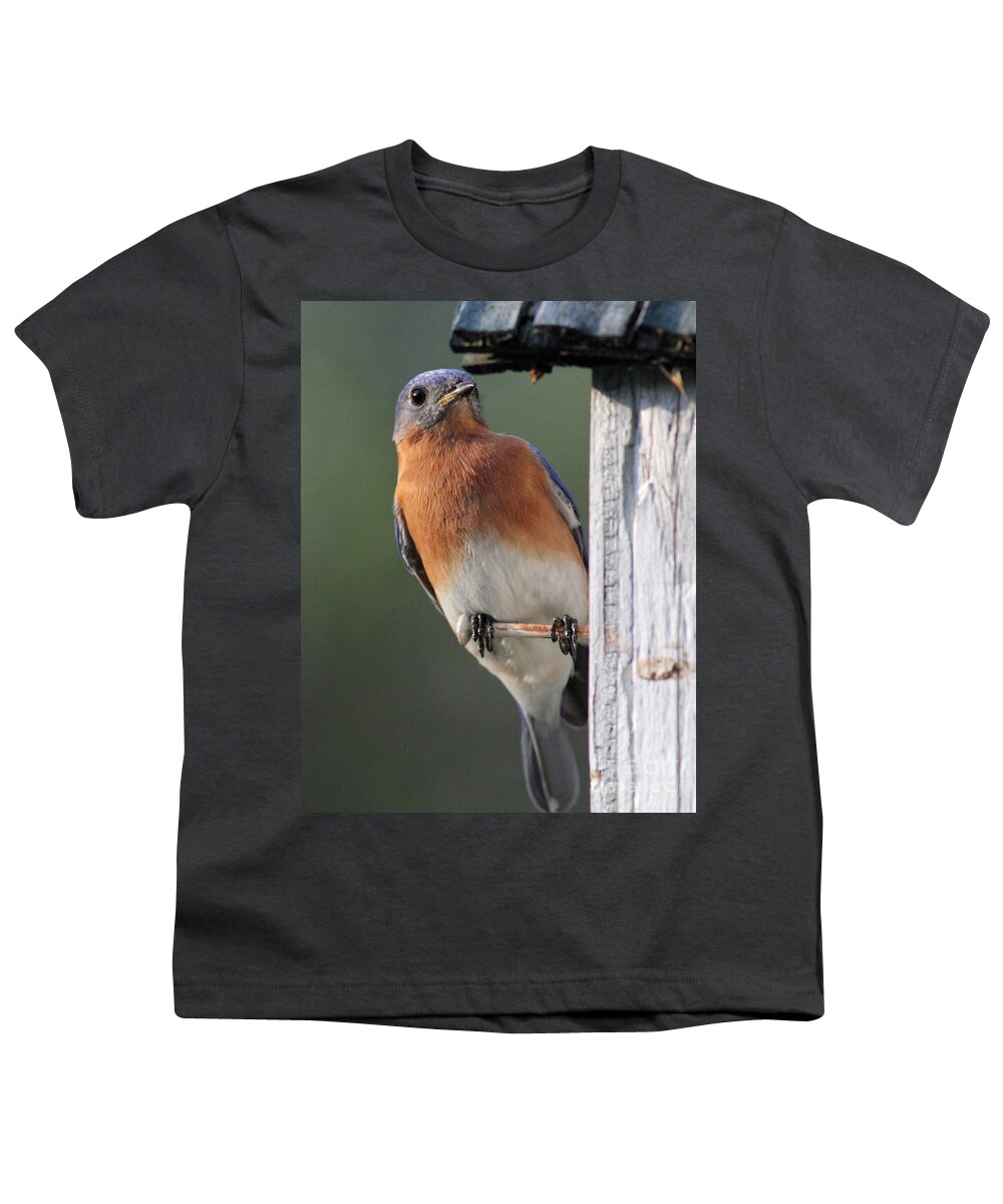  Youth T-Shirt featuring the photograph Bluebird IV by Douglas Stucky