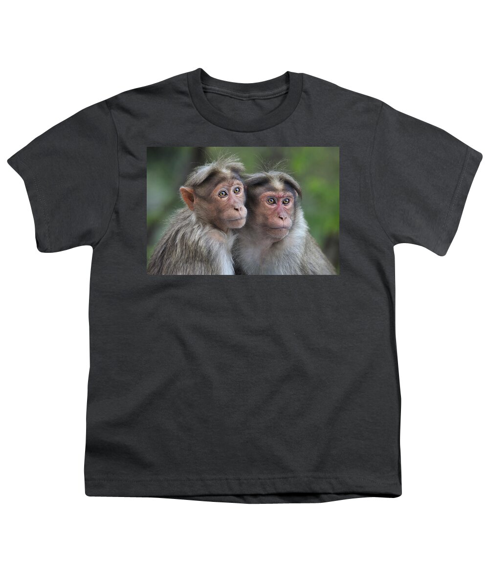 Thomas Marent Youth T-Shirt featuring the photograph Bonnet Macaque Pair Huddling India by Thomas Marent