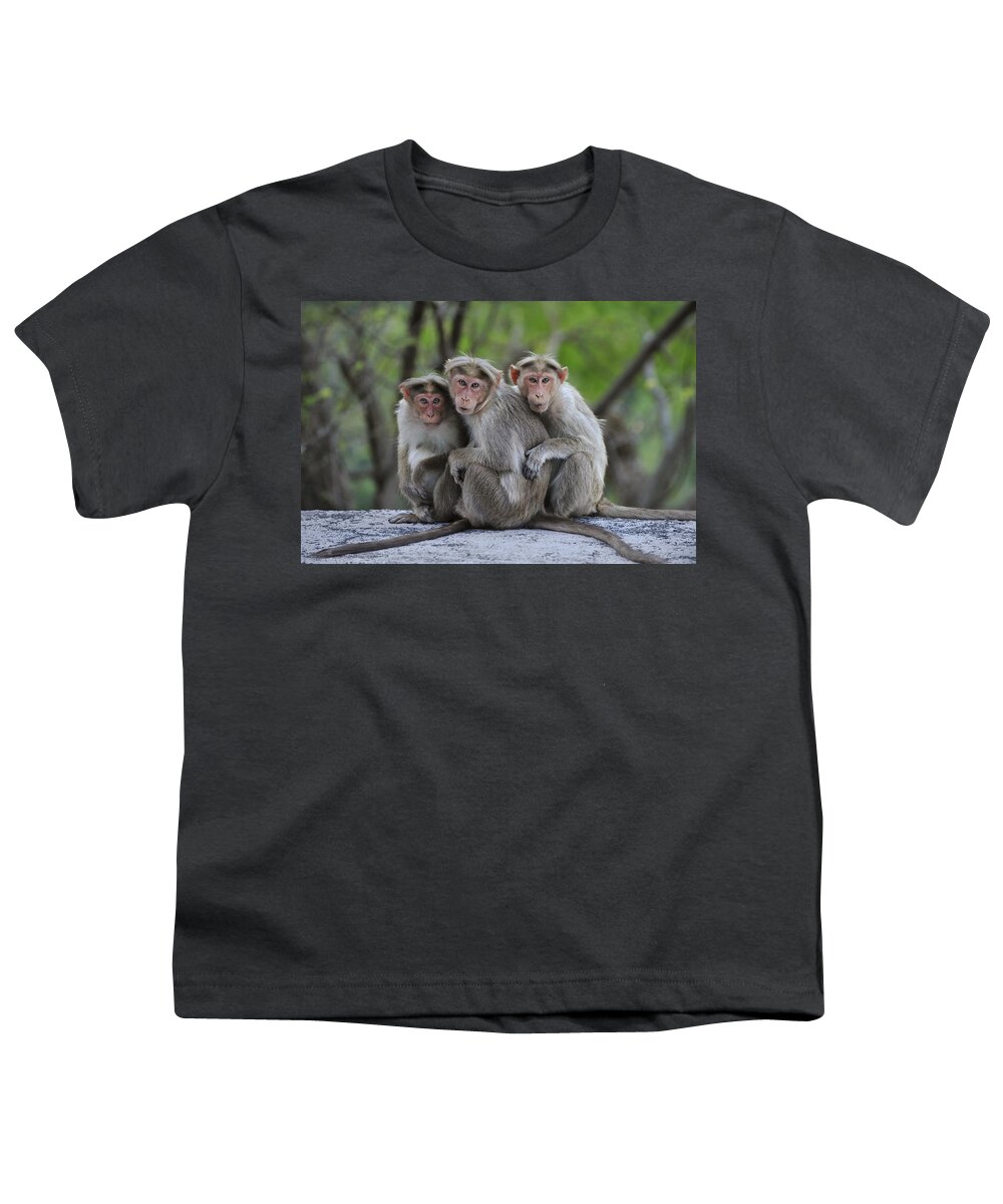 Thomas Marent Youth T-Shirt featuring the photograph Bonnet Macaque Trio Huddling India by Thomas Marent