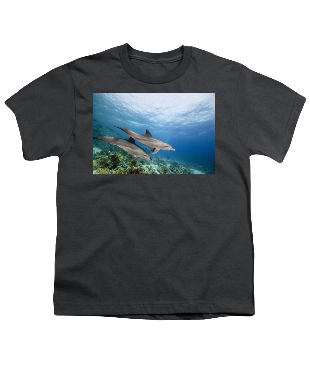 Nis Youth T-Shirt featuring the photograph Bottlenose Dolphins Swimming Over Reef by Dray van Beeck