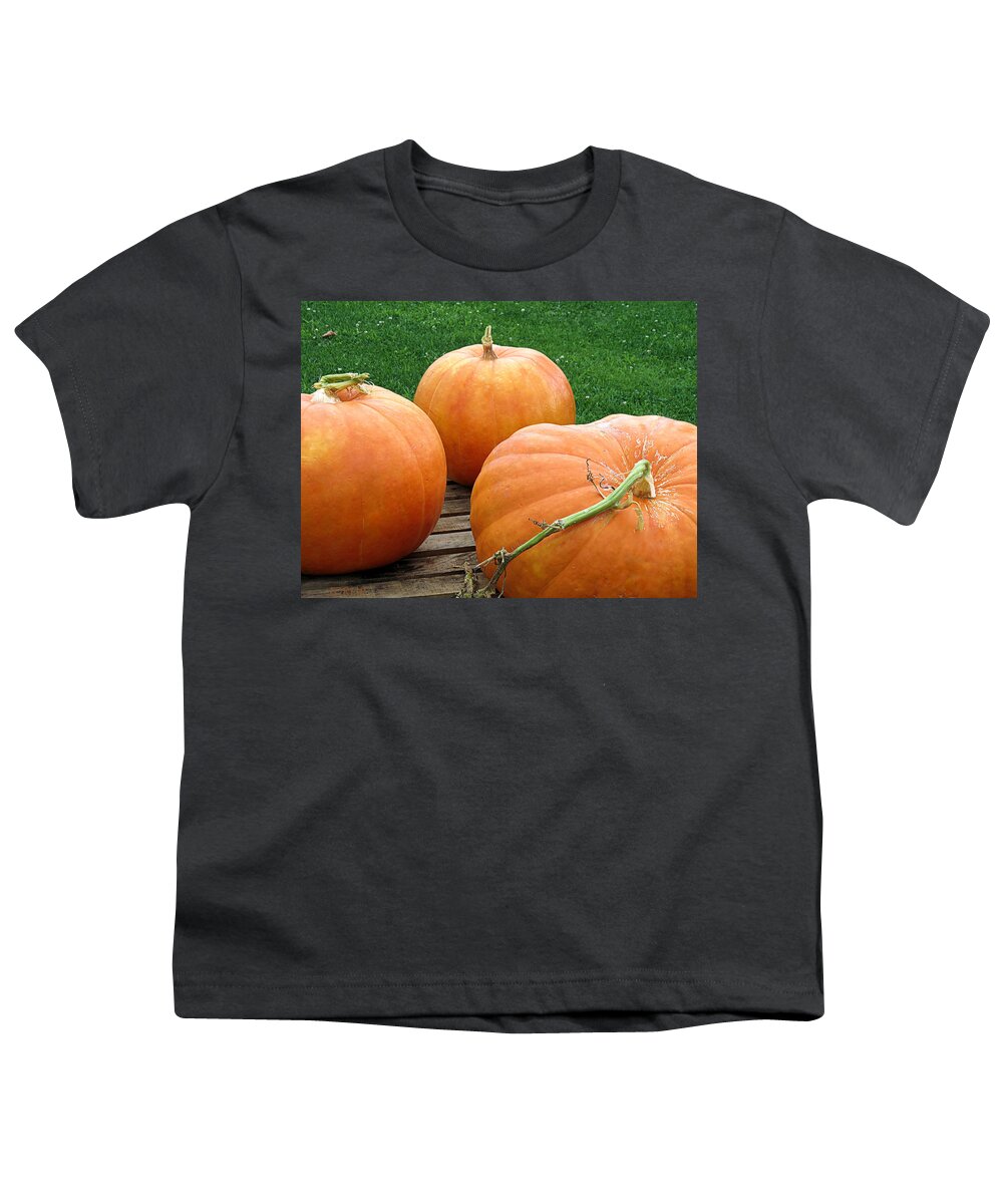 Pumpkins Youth T-Shirt featuring the photograph Bounty by Janice Drew