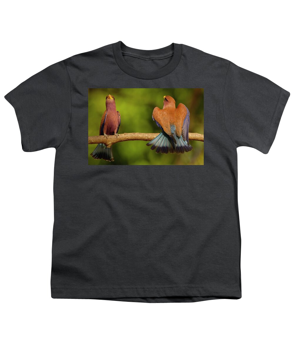 00217600 Youth T-Shirt featuring the photograph Broad-billed Roller Courtship by Pete Oxford