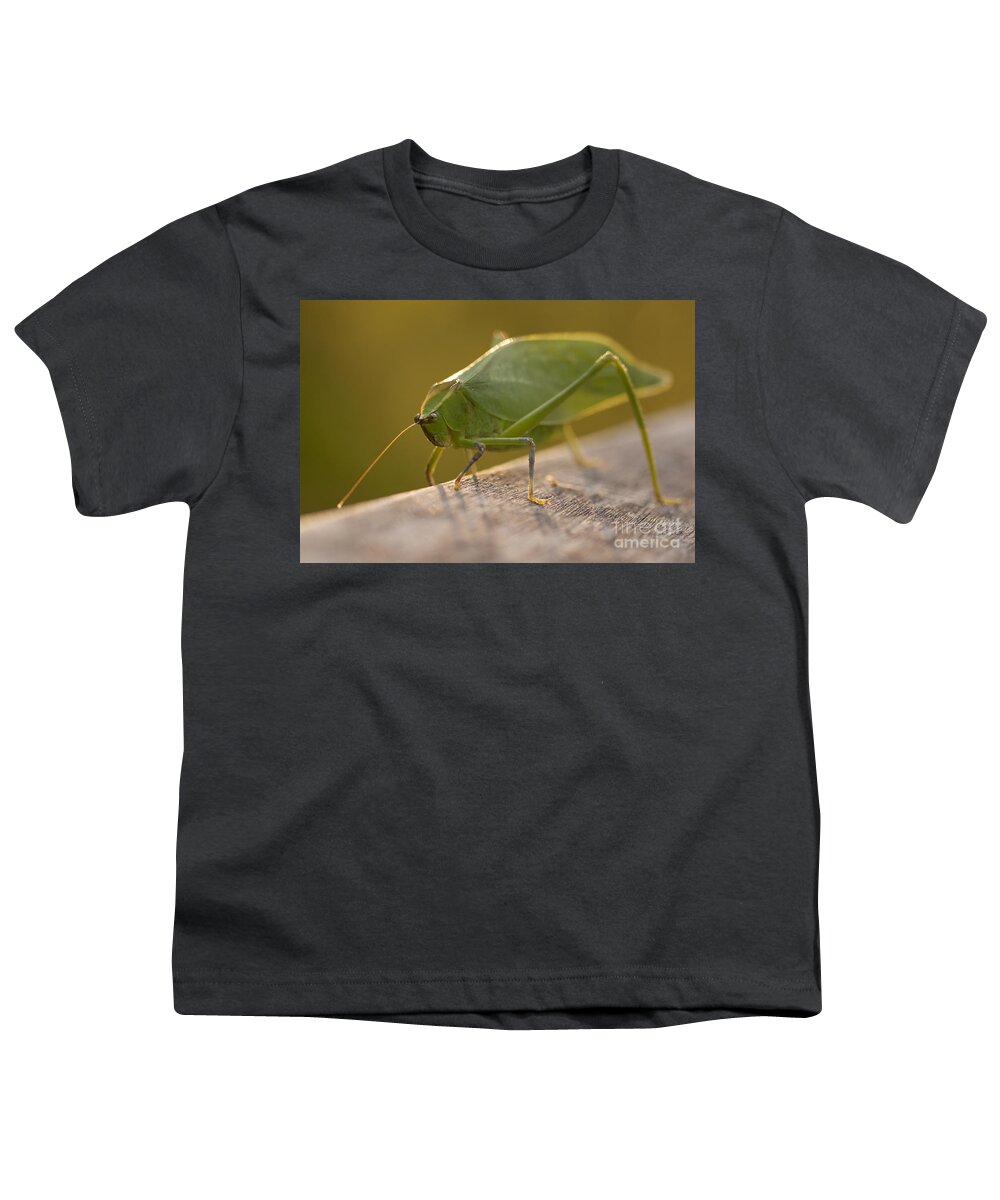 Broad-winged Katydid Youth T-Shirt featuring the photograph Broad-winged Katydid by Meg Rousher