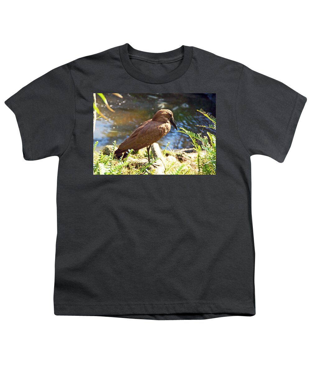 Bird Youth T-Shirt featuring the photograph Brown Bird by Aimee L Maher ALM GALLERY