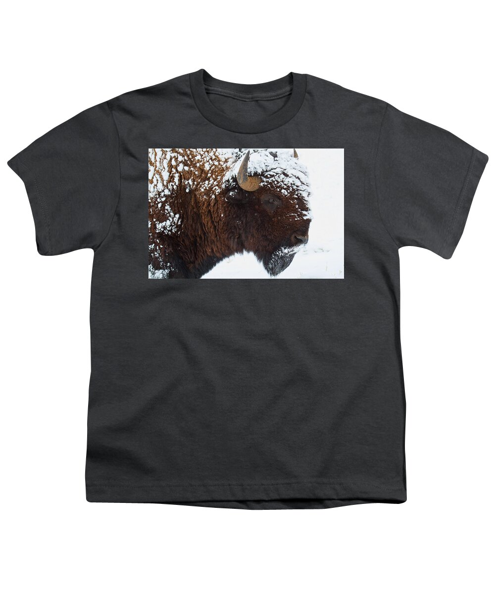 Buffalo Bull Canvas Print Youth T-Shirt featuring the photograph Buffalo Nickel by Jim Garrison
