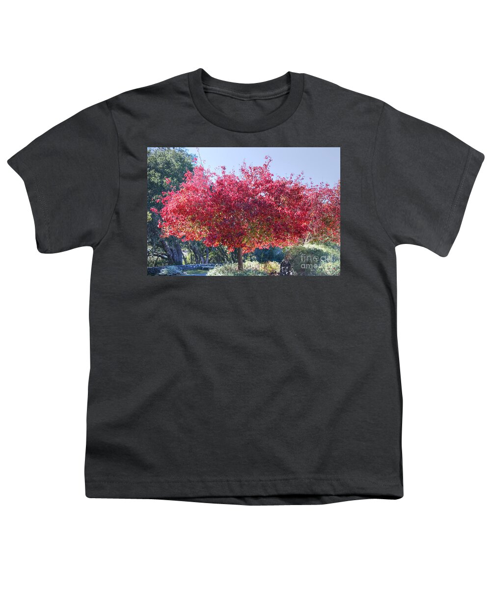 Cambria Youth T-Shirt featuring the photograph Cambria Red Tree by Tap On Photo