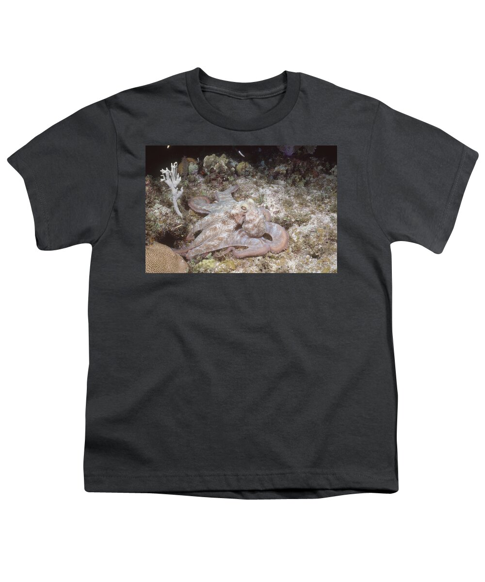 Common Reef Octopus Youth T-Shirt featuring the photograph Caribbean Reef Octopus by Andrew J. Martinez