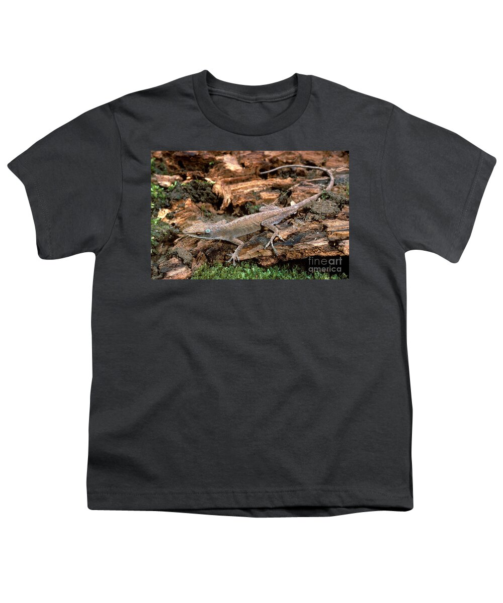 Green Anole Youth T-Shirt featuring the photograph Carolina Anole Sequence by ER Degginger
