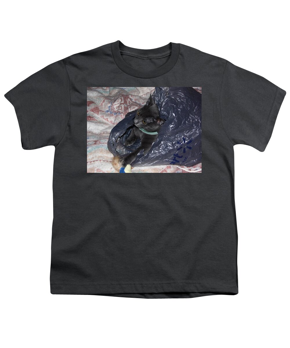 Cats Youth T-Shirt featuring the photograph Cat in a bag by Karl Rose