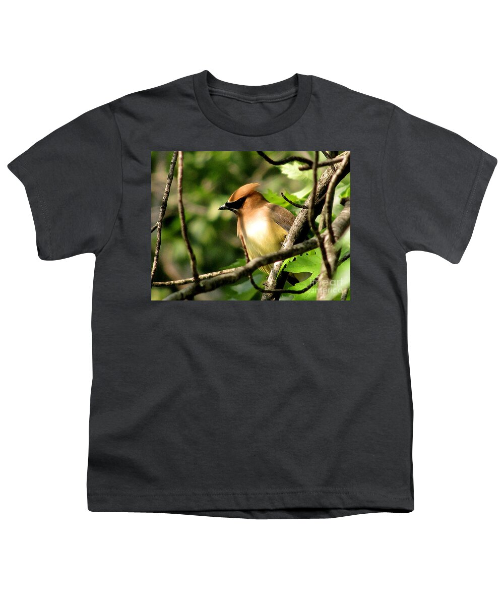 Cedar Waxwing Youth T-Shirt featuring the photograph Cedar Waxwing by Marilyn Smith