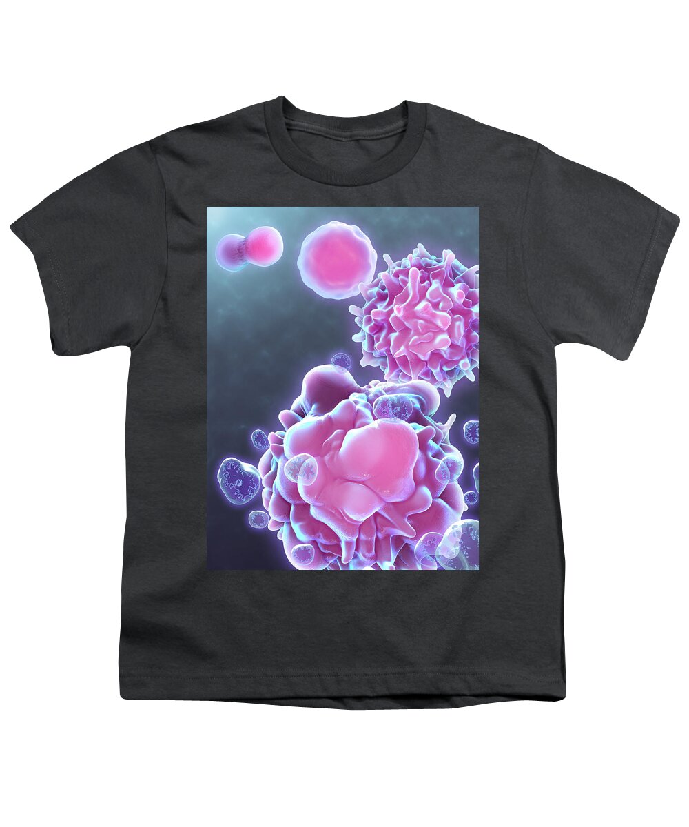 Hemocytoblast Youth T-Shirt featuring the photograph Cell Life Cycle by Evan Oto