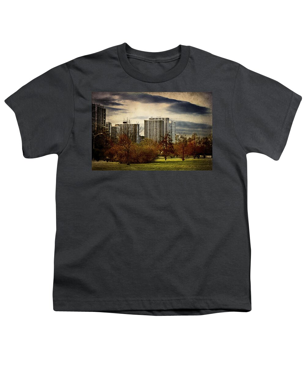 Trees Youth T-Shirt featuring the photograph Chicago Neighborhood by Milena Ilieva