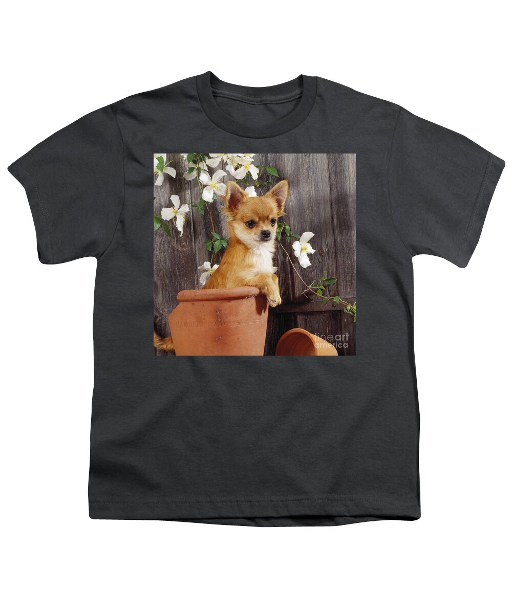 Chihuahua Youth T-Shirt featuring the photograph Chihuahua Dog In Flowerpot by John Daniels