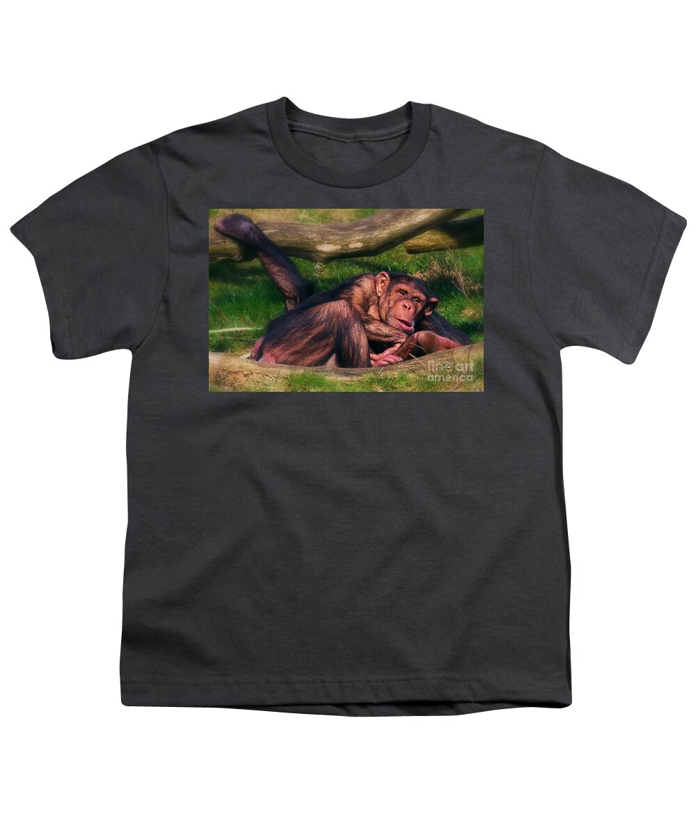 Chimpanzees Youth T-Shirt featuring the photograph Chimpanzees taking a nap by Nick Biemans