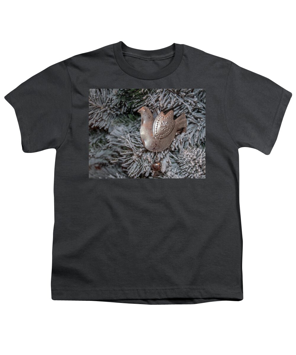 Christmas Decoration Youth T-Shirt featuring the photograph Christmas Decoration 1 by Tam Ryan