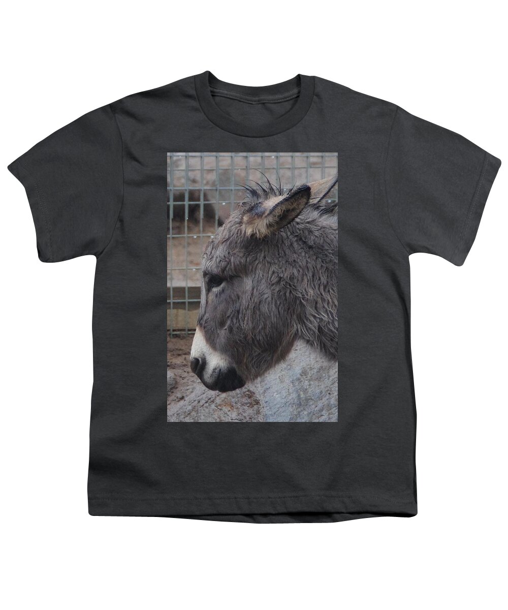 Christmas Youth T-Shirt featuring the photograph Christmas Donkey by Phyllis Spoor