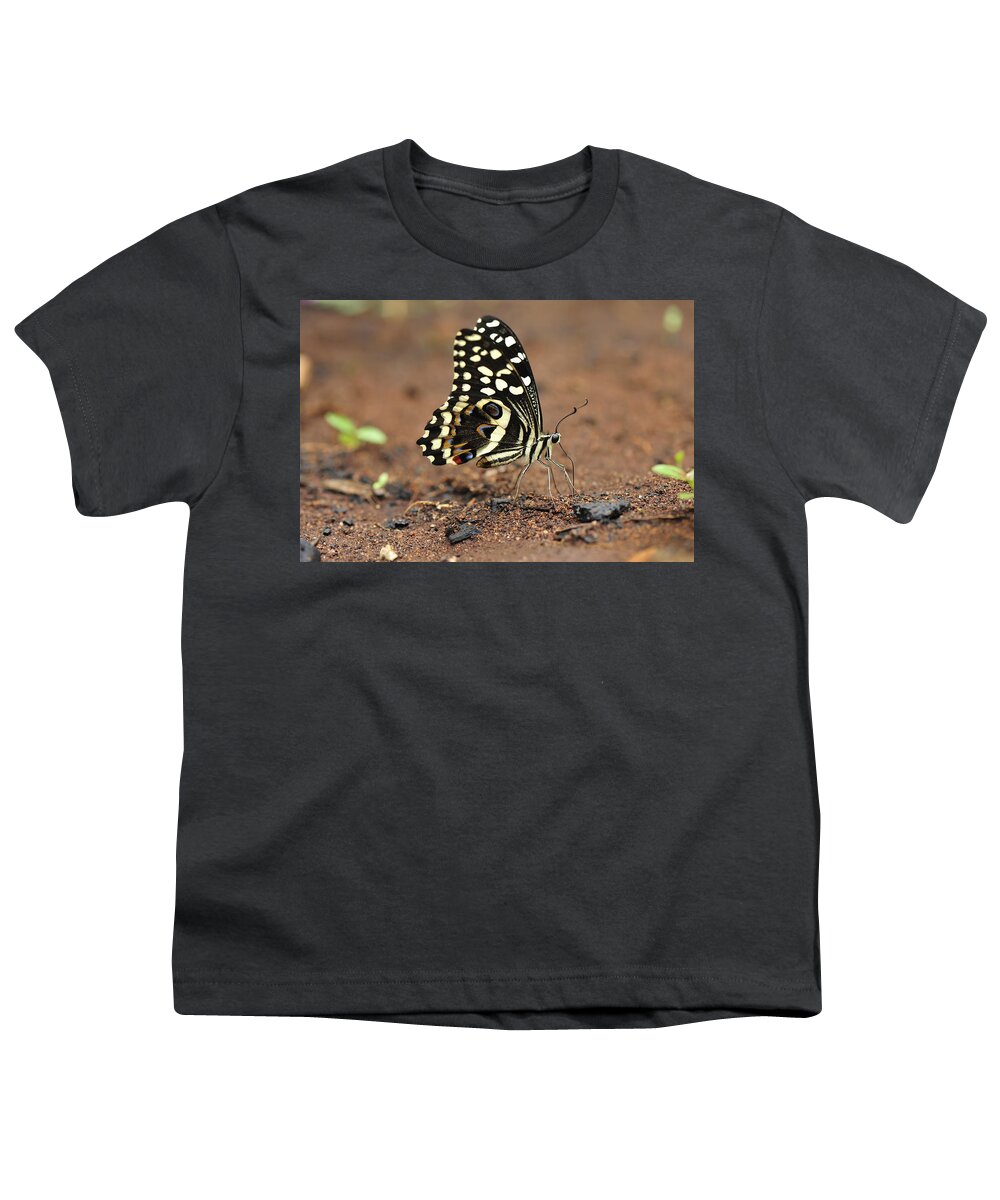 Thomas Marent Youth T-Shirt featuring the photograph Citrus Butterfly Puddling Jozani by Thomas Marent