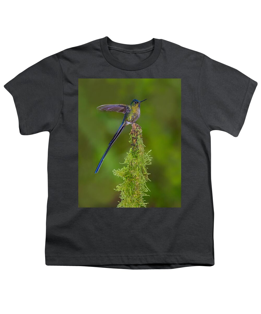 Violet-tailed Sylph Youth T-Shirt featuring the photograph Cloud Forest Fairy by Tony Beck