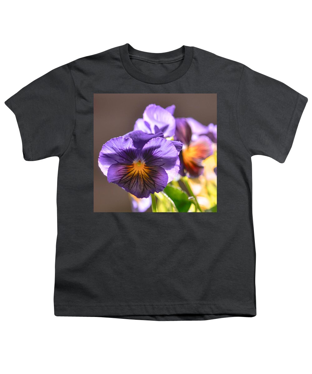 Pansy Youth T-Shirt featuring the photograph Colorful Pansy Palette by Amy Porter
