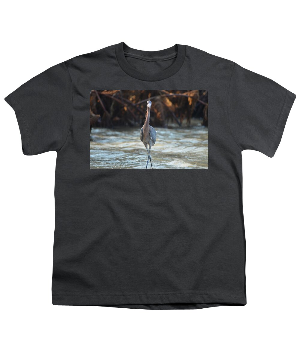 Reddish Egret Youth T-Shirt featuring the photograph Concentration by James Petersen