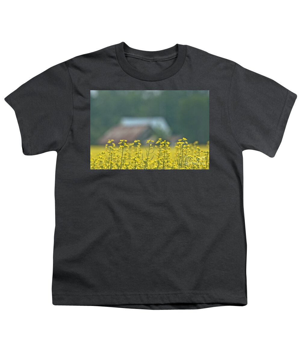 Canola Youth T-Shirt featuring the photograph Country Yellow by Cheryl Baxter