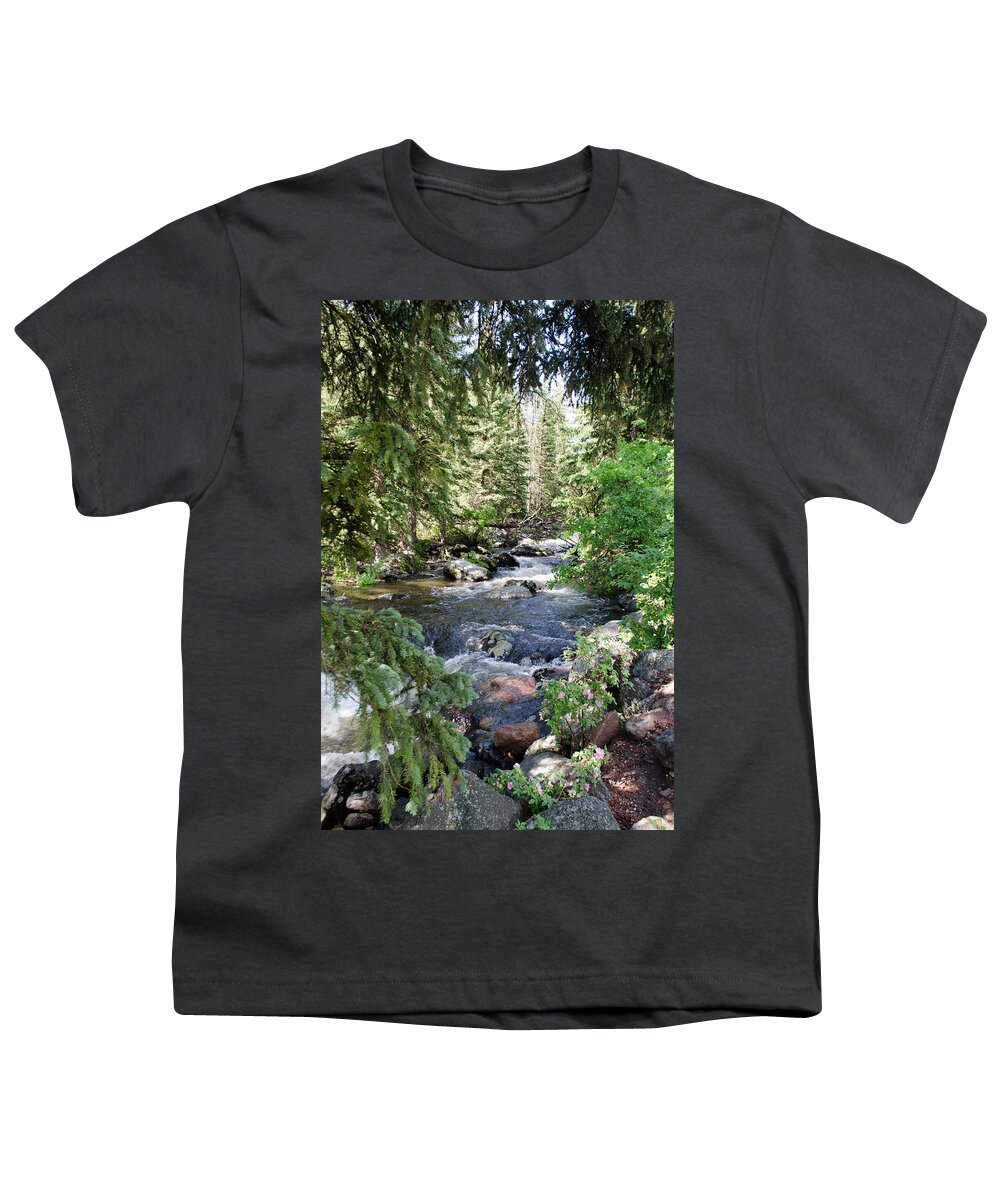 Dakota Youth T-Shirt featuring the photograph Crazy Woman Creek by Greni Graph