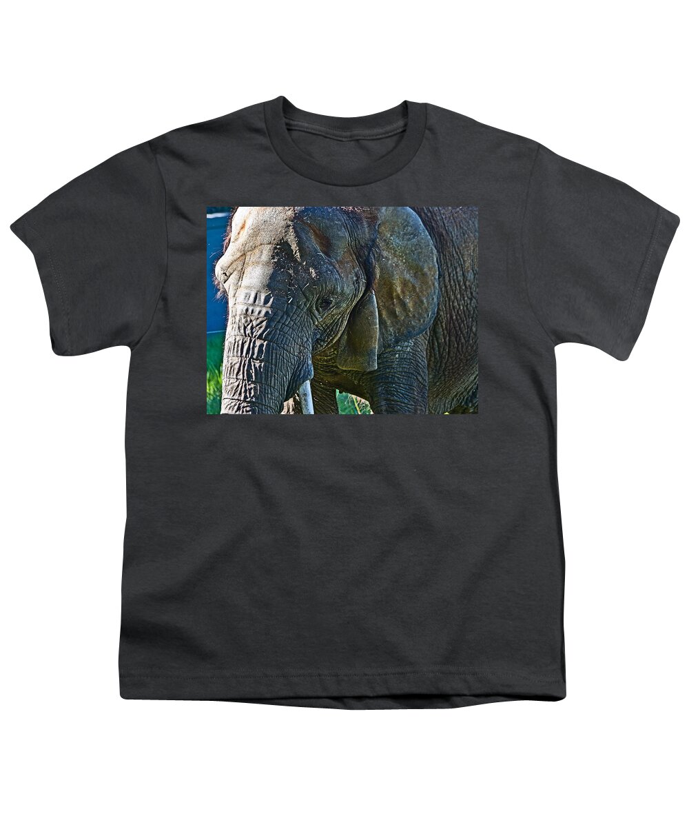 #elephant Youth T-Shirt featuring the photograph Cuddles in search by Miroslava Jurcik