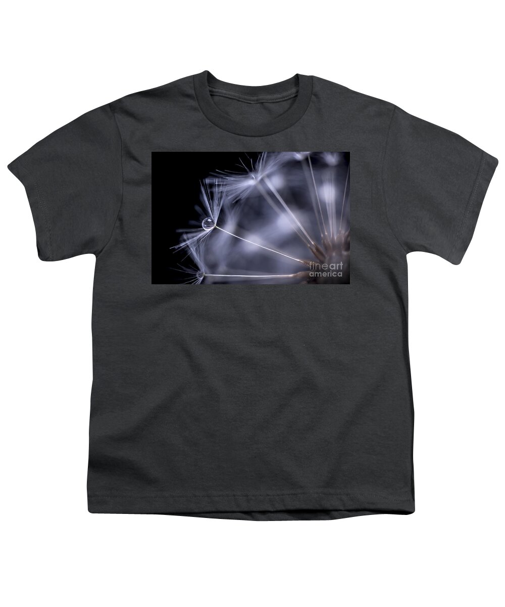 Dandelion Youth T-Shirt featuring the photograph Dandelion seeds with water drop by Elena Elisseeva