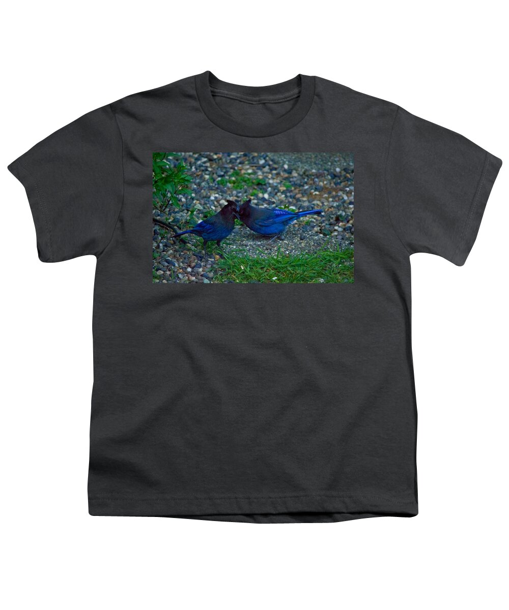 Stellar Jey Youth T-Shirt featuring the photograph Darling I have to tell you a secret-sweet stellar jay couple by Eti Reid