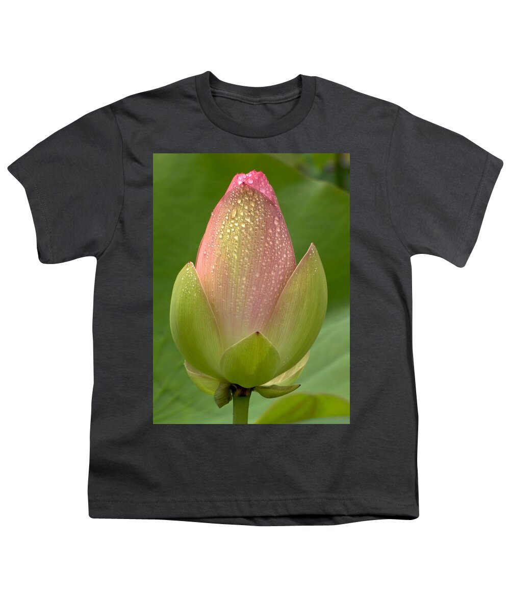 Lotus Youth T-Shirt featuring the photograph Dew Kissed by Jennifer Wheatley Wolf
