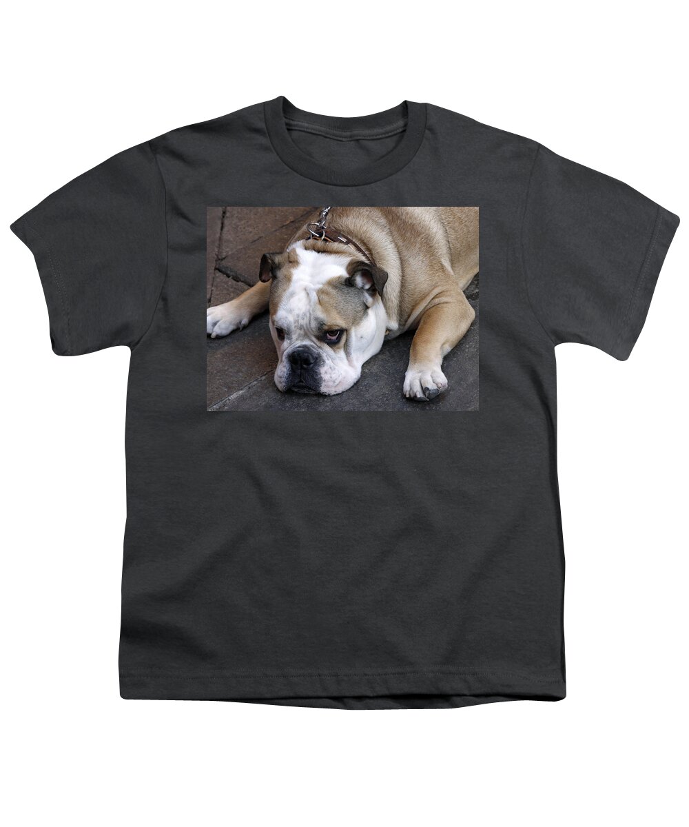 Dog Youth T-Shirt featuring the photograph Dog. Tired. by Rick Locke - Out of the Corner of My Eye