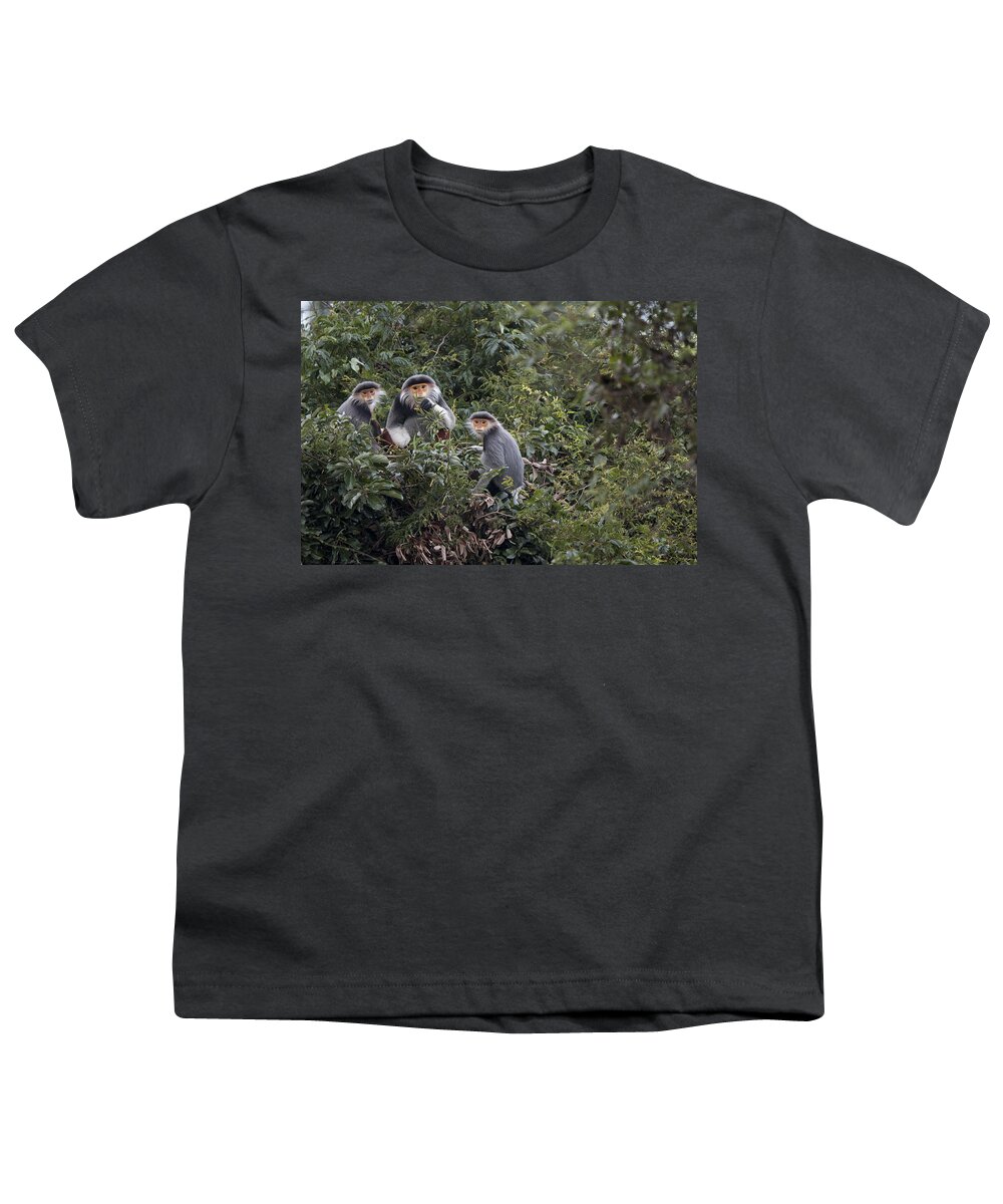Cyril Ruoso Youth T-Shirt featuring the photograph Douc Langur Male And Females Vietnam by Cyril Ruoso