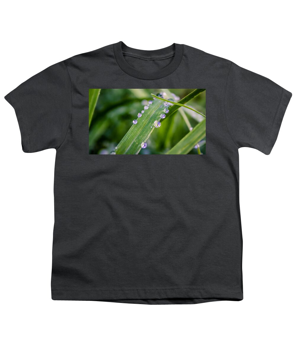Rain Youth T-Shirt featuring the photograph Drops On Grass by Traveler's Pics