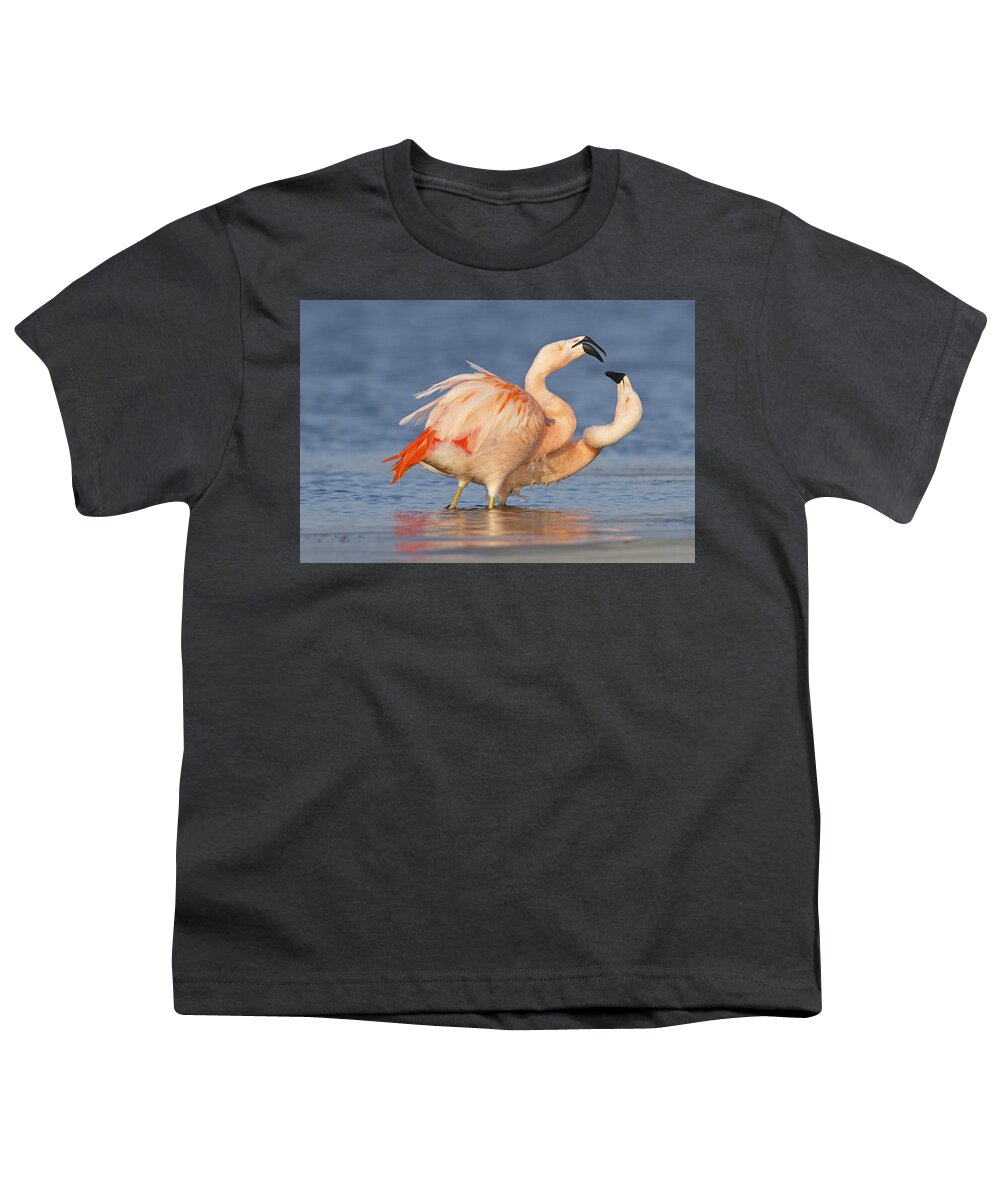 Nis Youth T-Shirt featuring the photograph European Flamingo Pair Courting by Ronald Kamphius