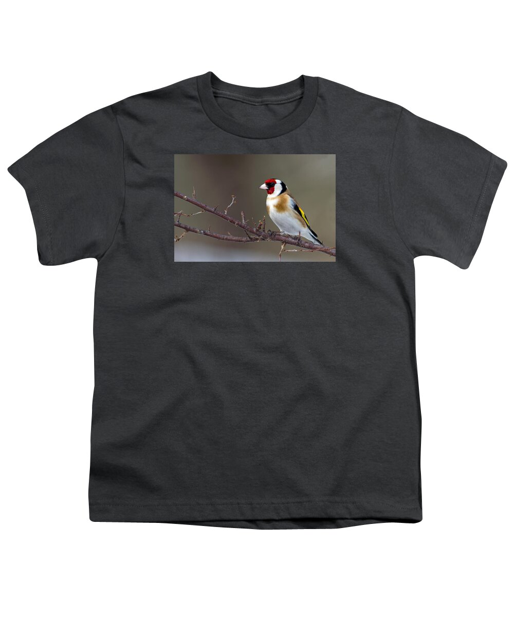Goldfinch Youth T-Shirt featuring the photograph European Goldfinch by Torbjorn Swenelius