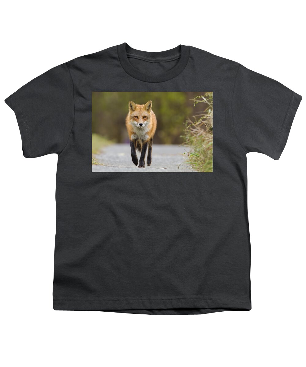 Fox Youth T-Shirt featuring the photograph Face to Face by Mircea Costina Photography