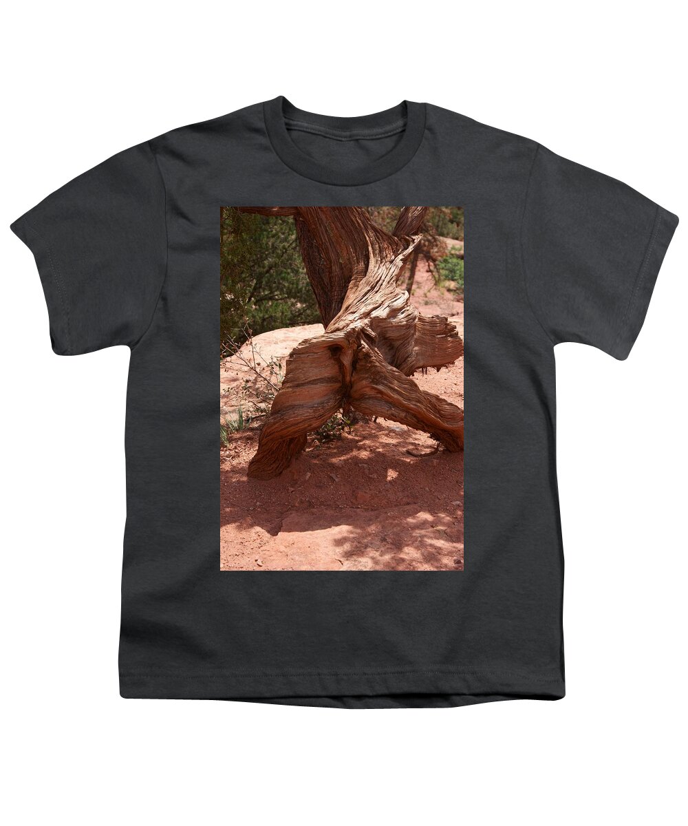 Colorado Youth T-Shirt featuring the photograph Fallen Trees 4 by Dimitry Papkov