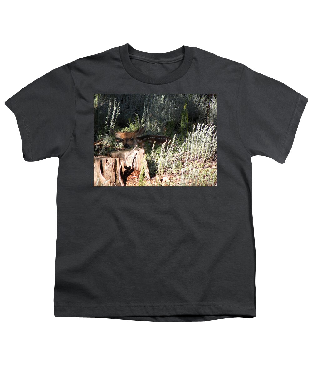 Animal Youth T-Shirt featuring the photograph Fawn Front Yard Divide CO by Margarethe Binkley