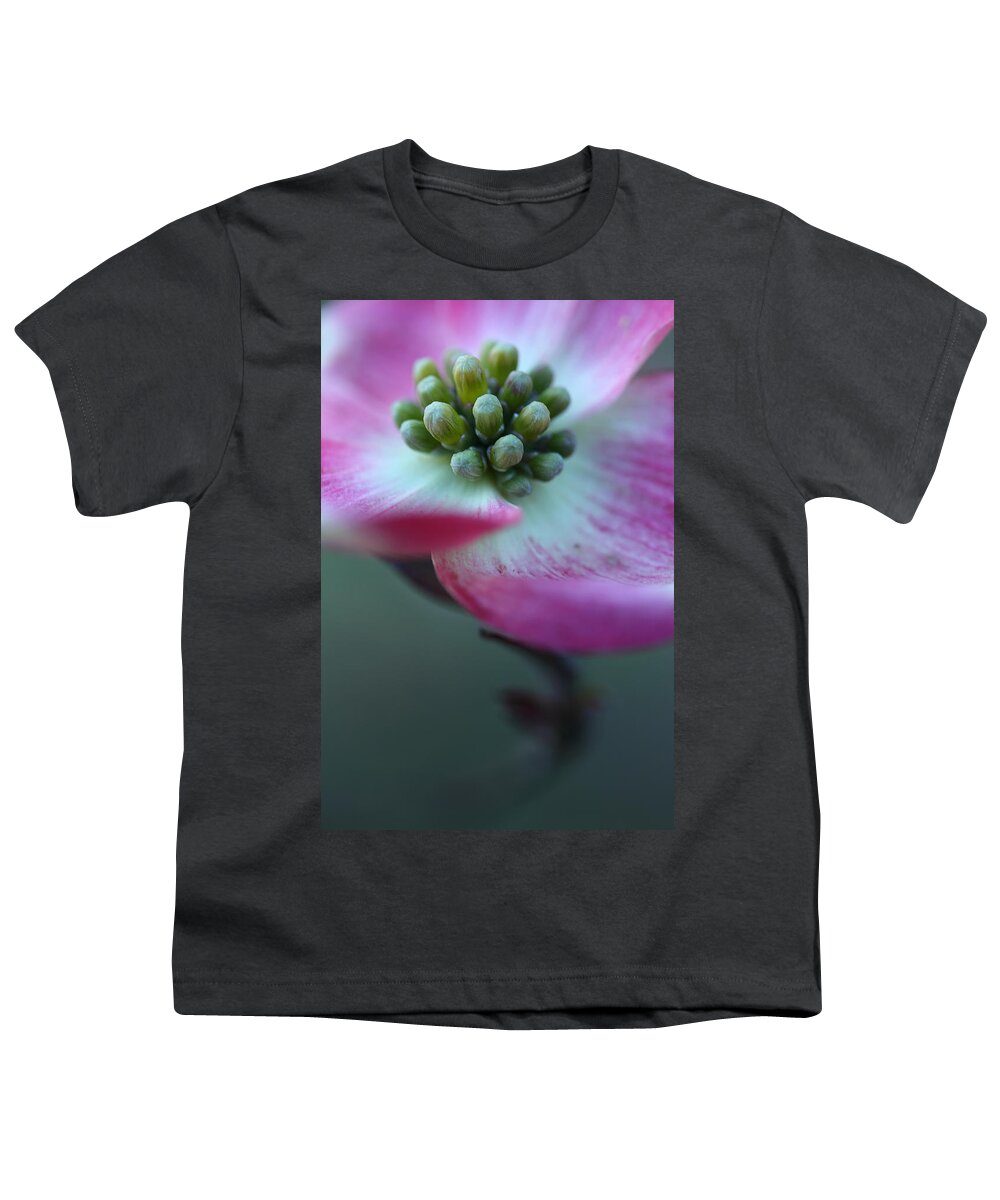 Dogwood Youth T-Shirt featuring the photograph Feeling Good by Michael Eingle