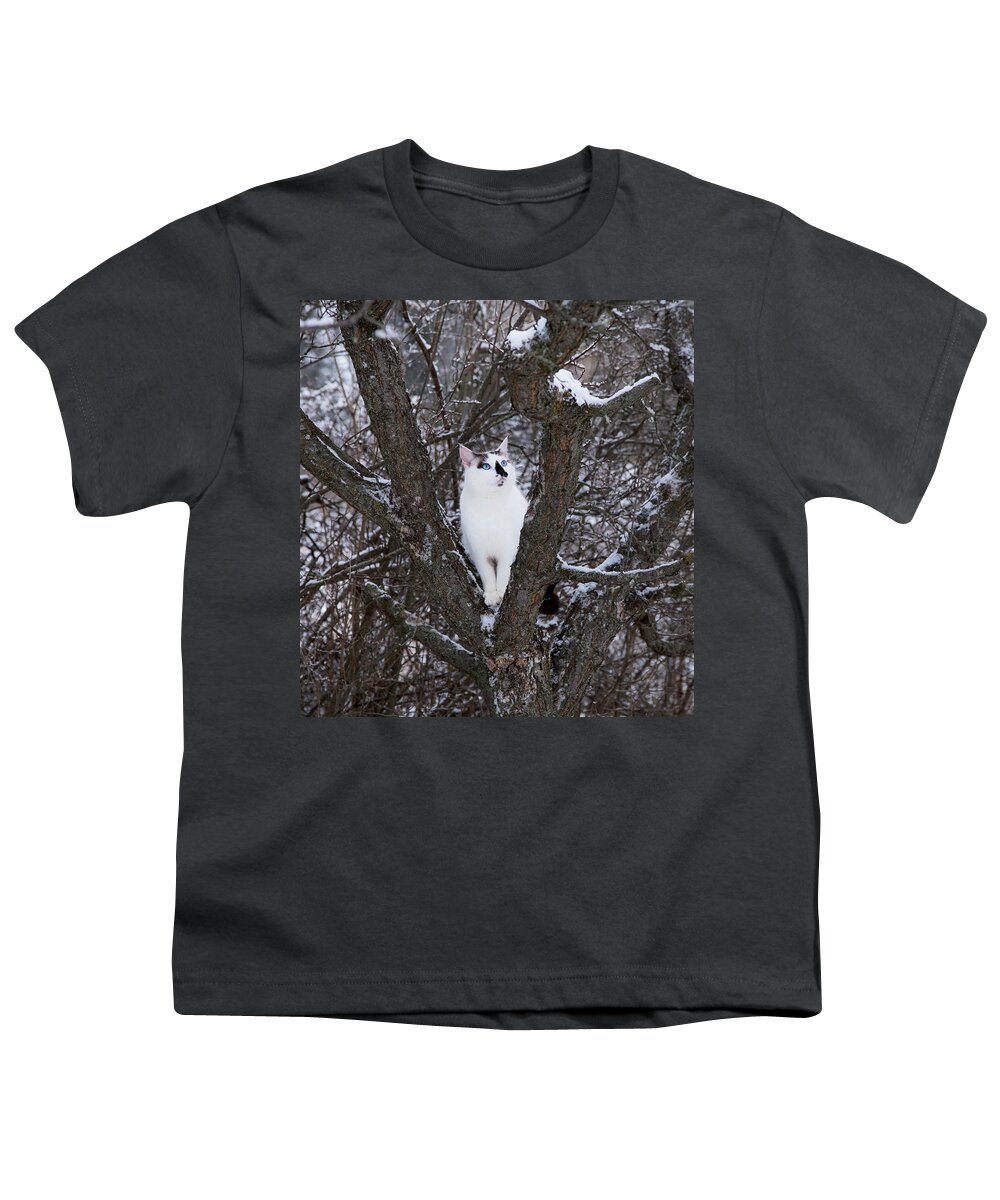 Cat Youth T-Shirt featuring the photograph Felis Silvestris Catus in Winter by Theresa Tahara