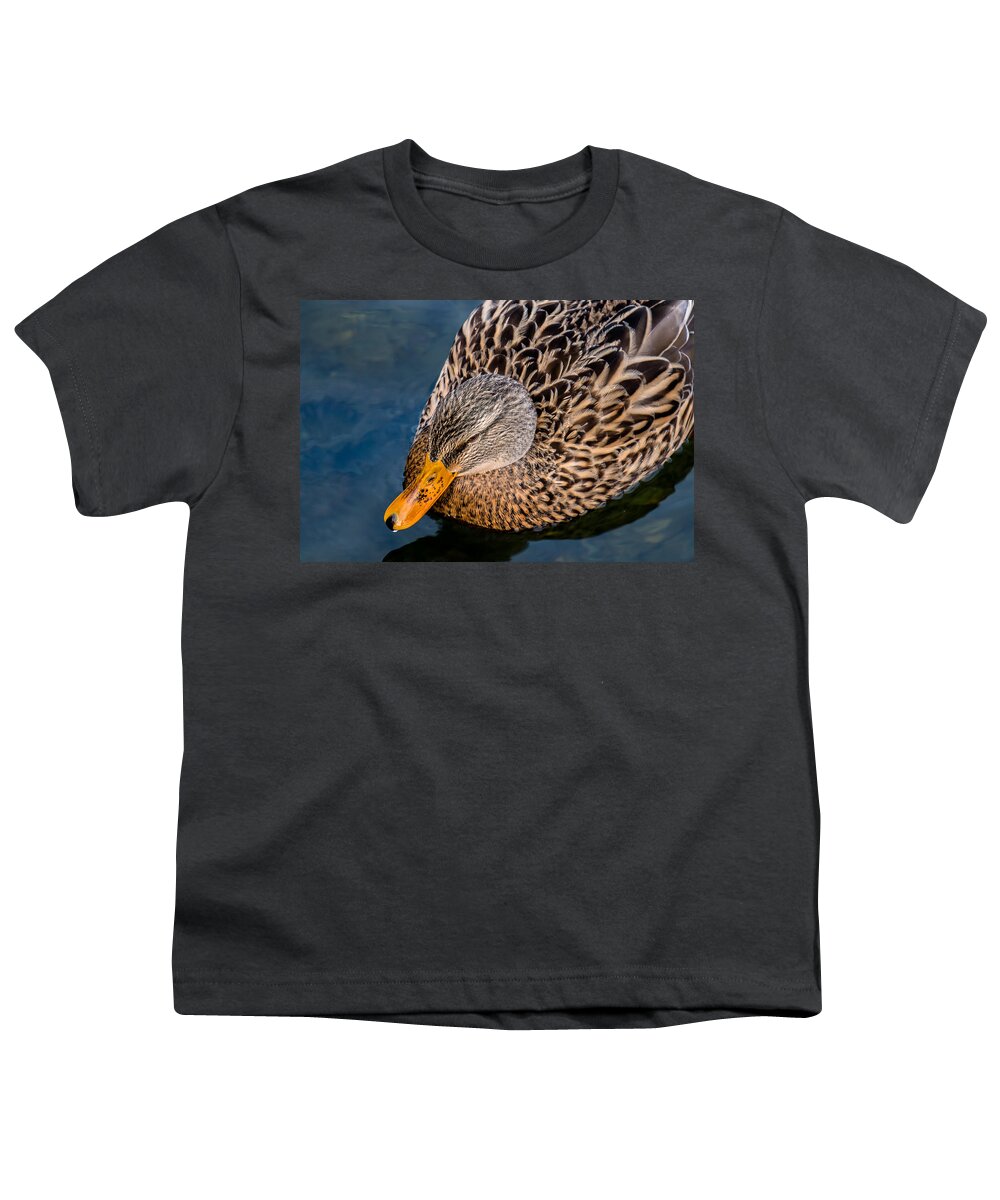 Duck Youth T-Shirt featuring the photograph Female Duck by Andreas Berthold